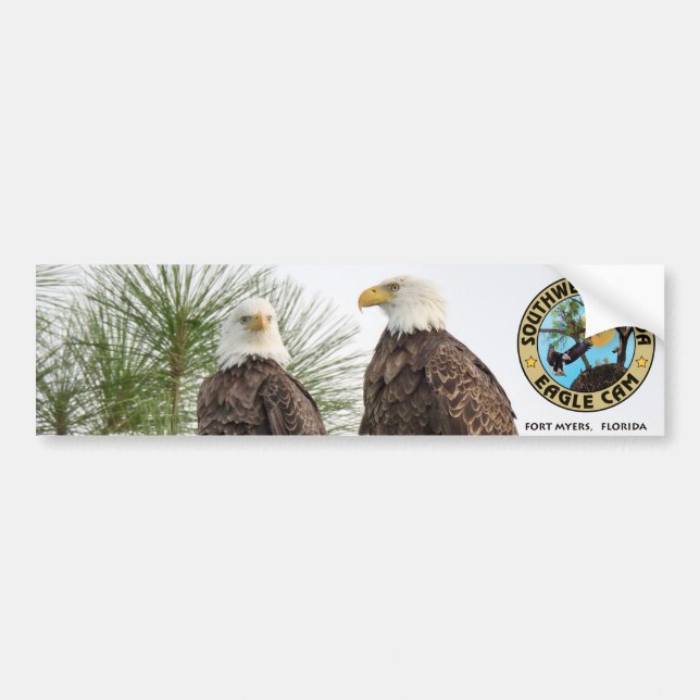 Eagle Cam Bumper Sticker (Front)
