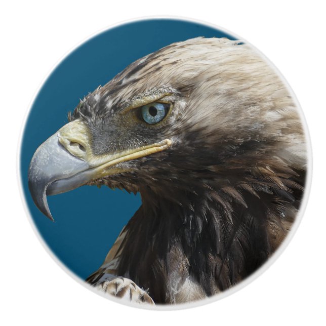 Eagle Ceramic Knob (Front)