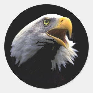 Eagle Classic Round Sticker