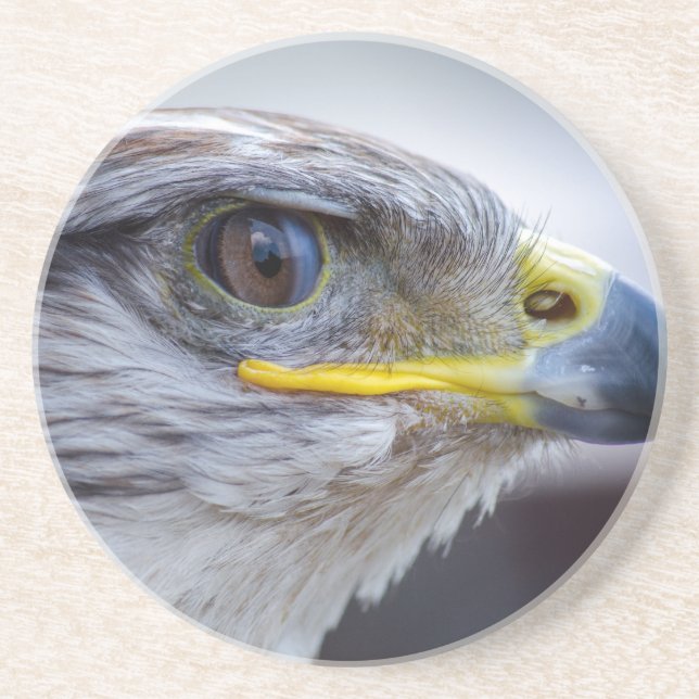 Eagle Coaster (Front)