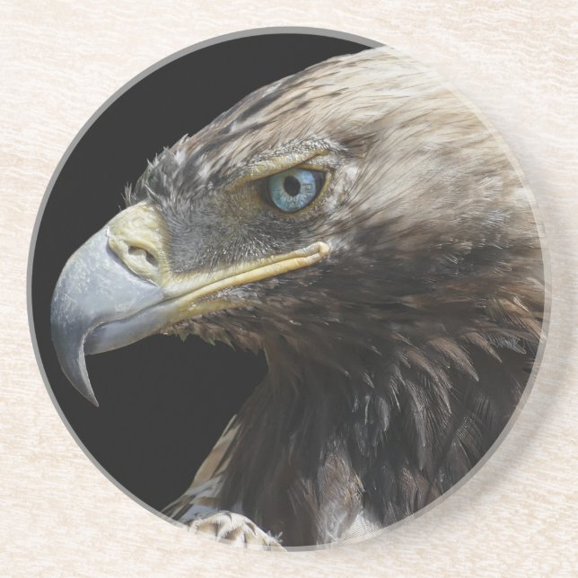 Eagle Coaster (Front)