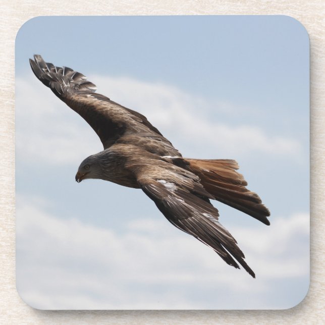 Eagle Coaster (Front)
