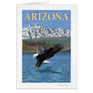 Eagle DivingArizona