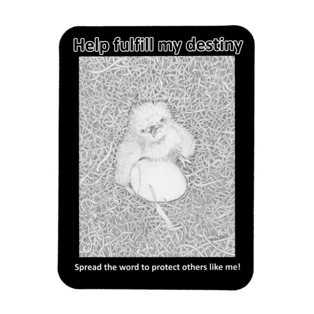 Eagle E14 Fulfil His Destiny Home Donation Magnet (Vertical)
