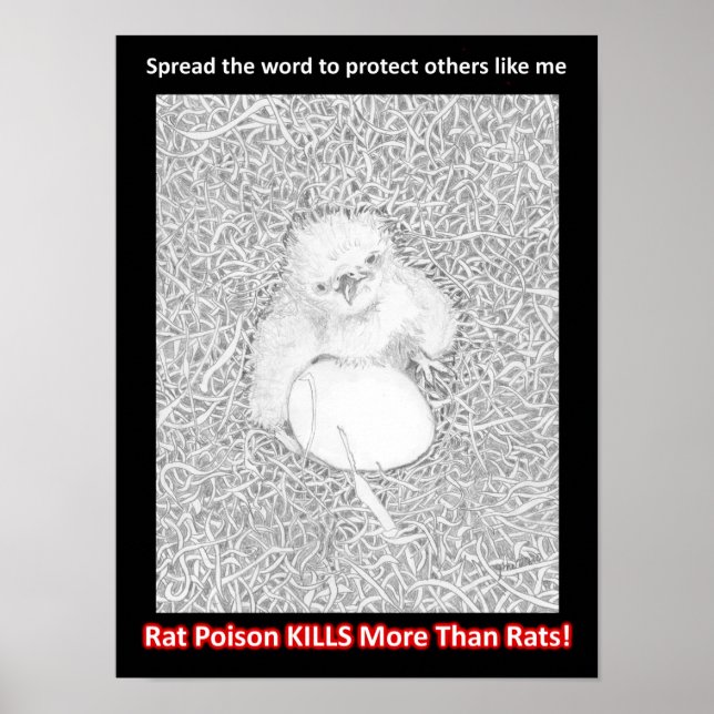 EAGLE E14 SAYS PROTECT WILDLIFE SAVE LIVES  POSTER (Front)