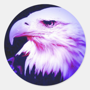 Eagle Eye Classic Round Sticker