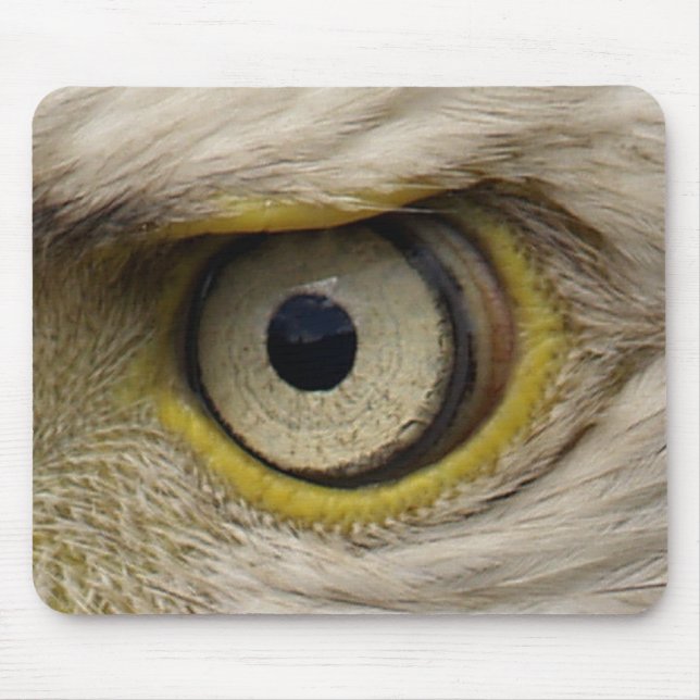 Eagle Eye Mousemat (Front)