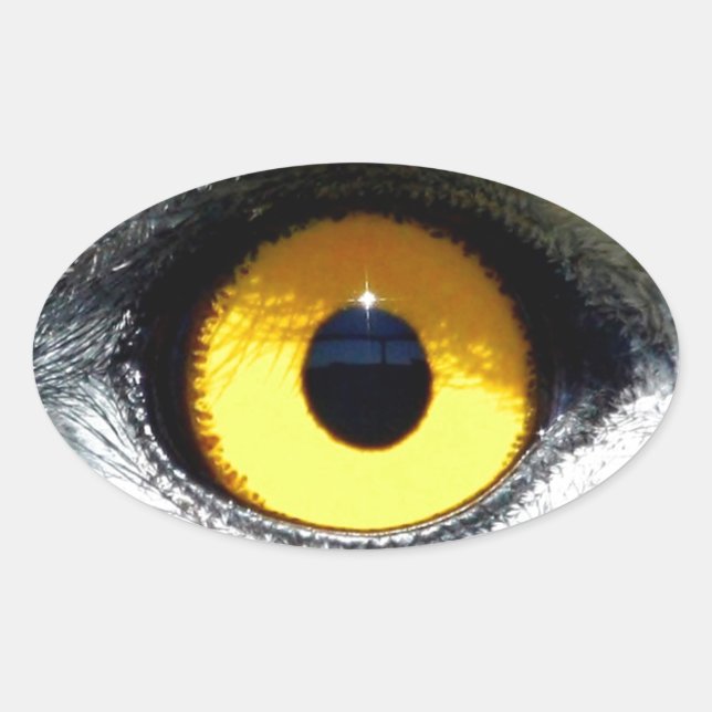 Eagle Eye Oval Sticker (Front)