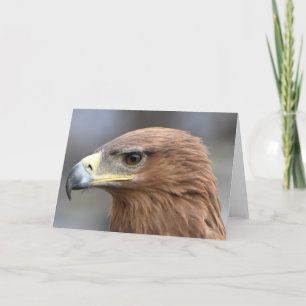 Eagle eye photograph card