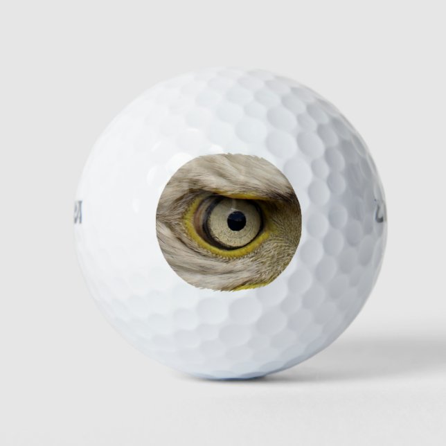 Eagle Eye Raptor Funny Photo Golf Balls (Front)