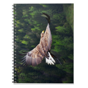 Eagle Eye View Notebook