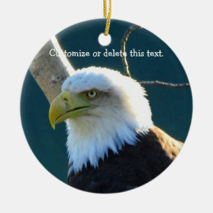 Eagle Eyes; Customisable Ceramic Tree Decoration