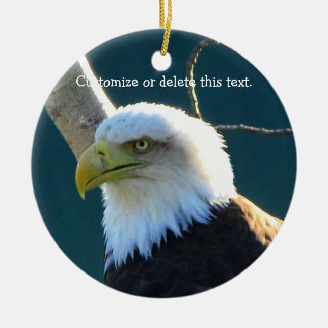 Eagle Eyes; Customisable Ceramic Tree Decoration (Front)