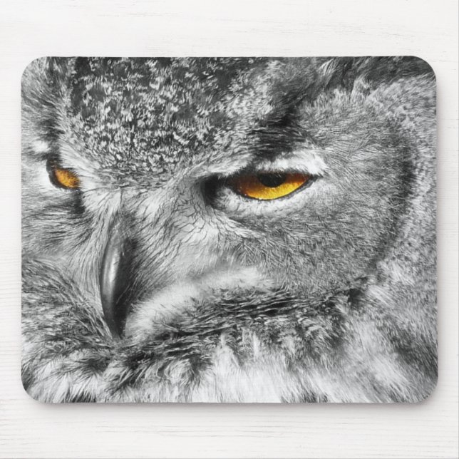 Eagle Eyes Mousepad (Front)