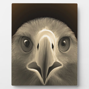 Eagle Eyes Plaque