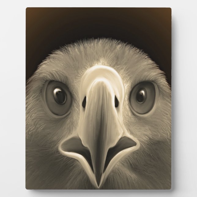 Eagle Eyes Plaque (Front)