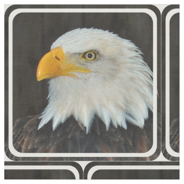 Eagle Fabric (Close Up)