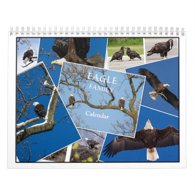 Eagle Family Calendar (Cover)