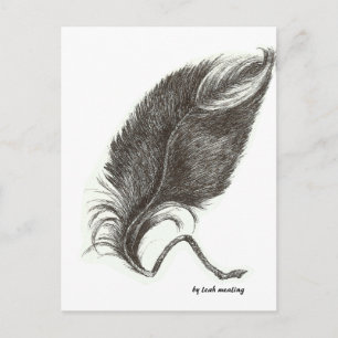 Eagle feather postcard