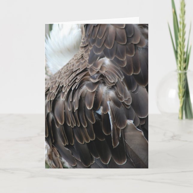 "Eagle Feathers" Greeting Card (Front)