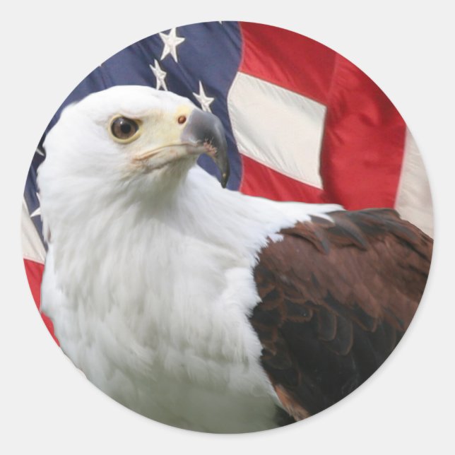 Eagle &  Flag Classic Round Sticker (Front)