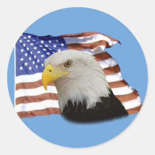 Eagle flag sticker
