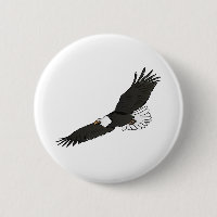 Eagle flying