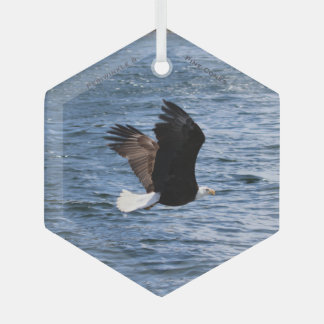 Eagle Flying over the Ocean Crest Glass Tree Decoration