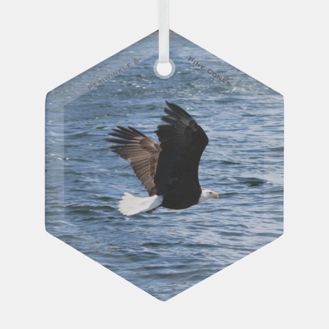 Eagle Flying over the Ocean Crest Glass Tree Decoration (Front)