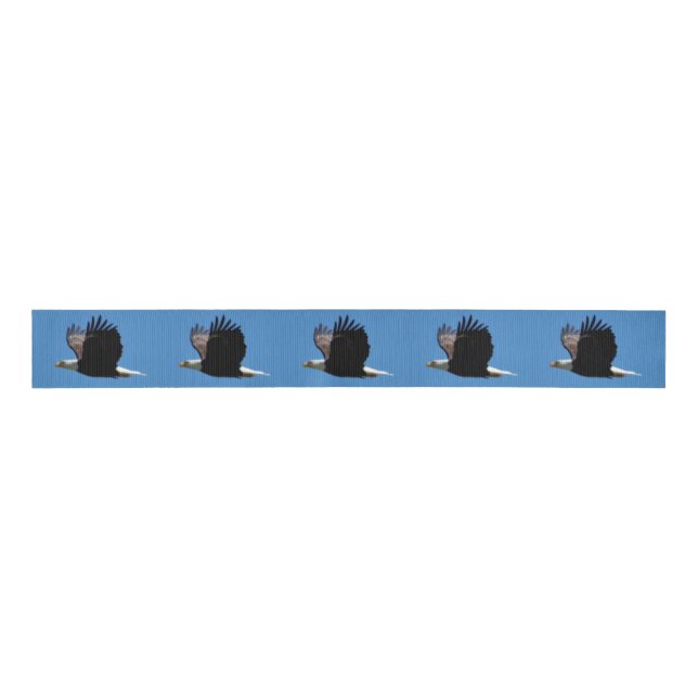 Eagle Flying Photo Grosgrain Ribbon (Front)