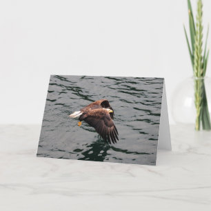 Eagle flying with wings out card