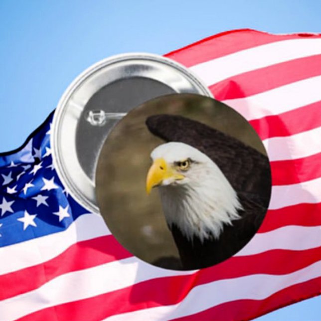 Eagle Gaze Button – Steady. Sharp. Free. (Creator Uploaded)