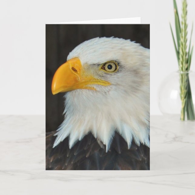 Eagle Head Greeting Card (Front)