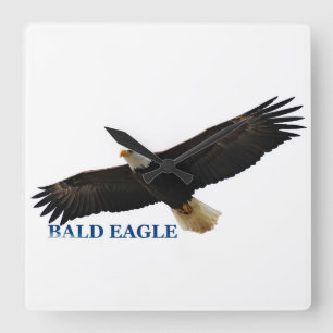 Eagle image for Square-Wall-Clock Square Wall Clock