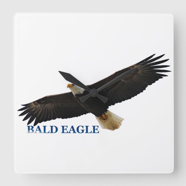 Eagle image for Square-Wall-Clock Square Wall Clock (Front)