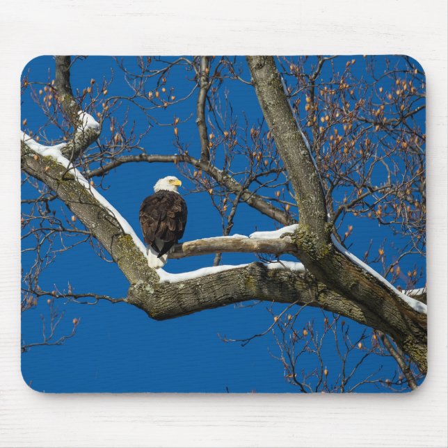 Eagle in a  Snowy Tree Mouse Mat (Front)