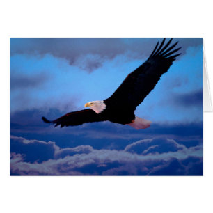 Eagle in Flight