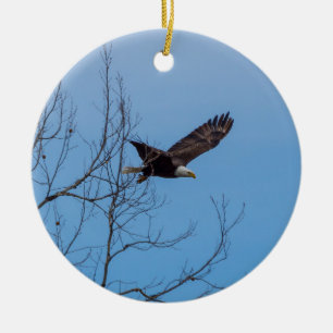 Eagle In Flight Ceramic Tree Decoration