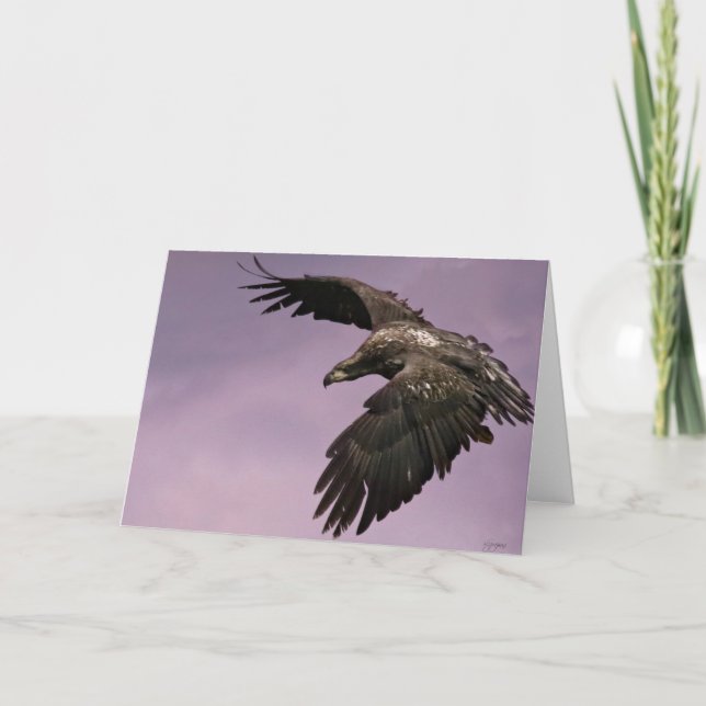 Eagle in Flight Greeting Card (Front)