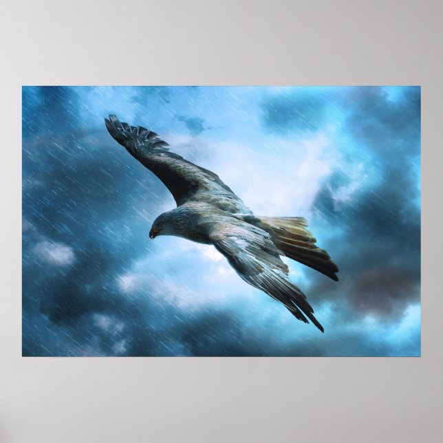Eagle in flight poster (Front)