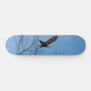 Eagle In Flight Skateboard