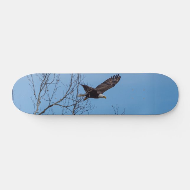 Eagle In Flight Skateboard (Horz)