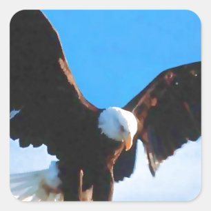 Eagle in Flight Square Sticker