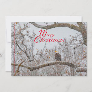 Eagle In Snowstorm Holiday Card
