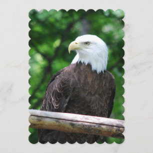 Eagle Invitation