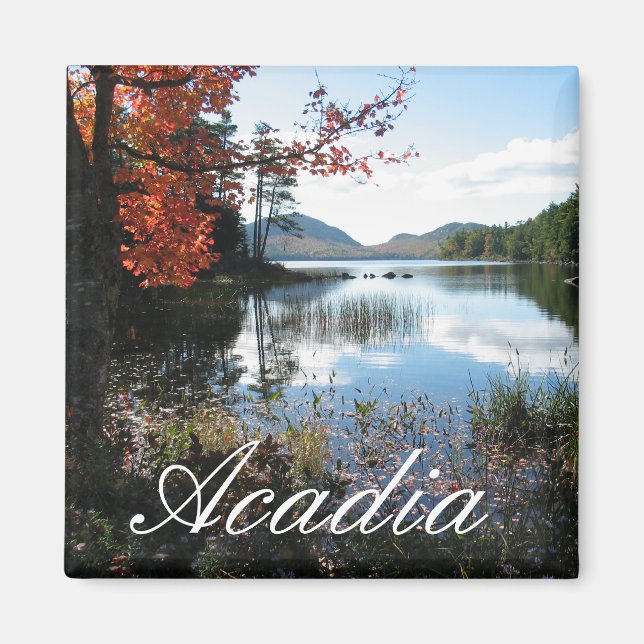 Eagle Lake, Autumn, Acadia National Park, Maine Magnet (Front)