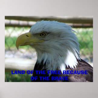 Eagle, LAND OF THE FREE BECAUSE OF THE BRAVE Poster