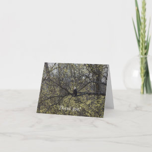 Eagle Lookout Painterly Thank You Card