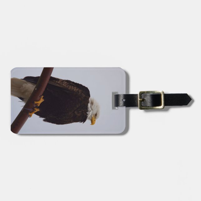 Eagle luggage tag (Front Horizontal)
