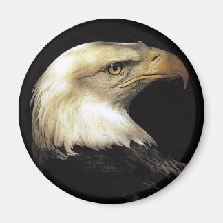 eagle magnet